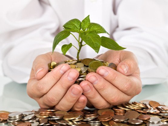 High Interest Savings